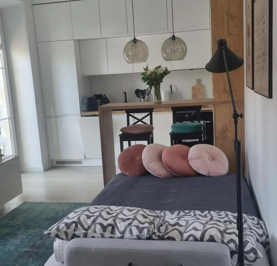 Studio Lea 7 Dzielnica Krowodrza. Bliskim Sasiedztwo Parku Krakowskiego. Apartment